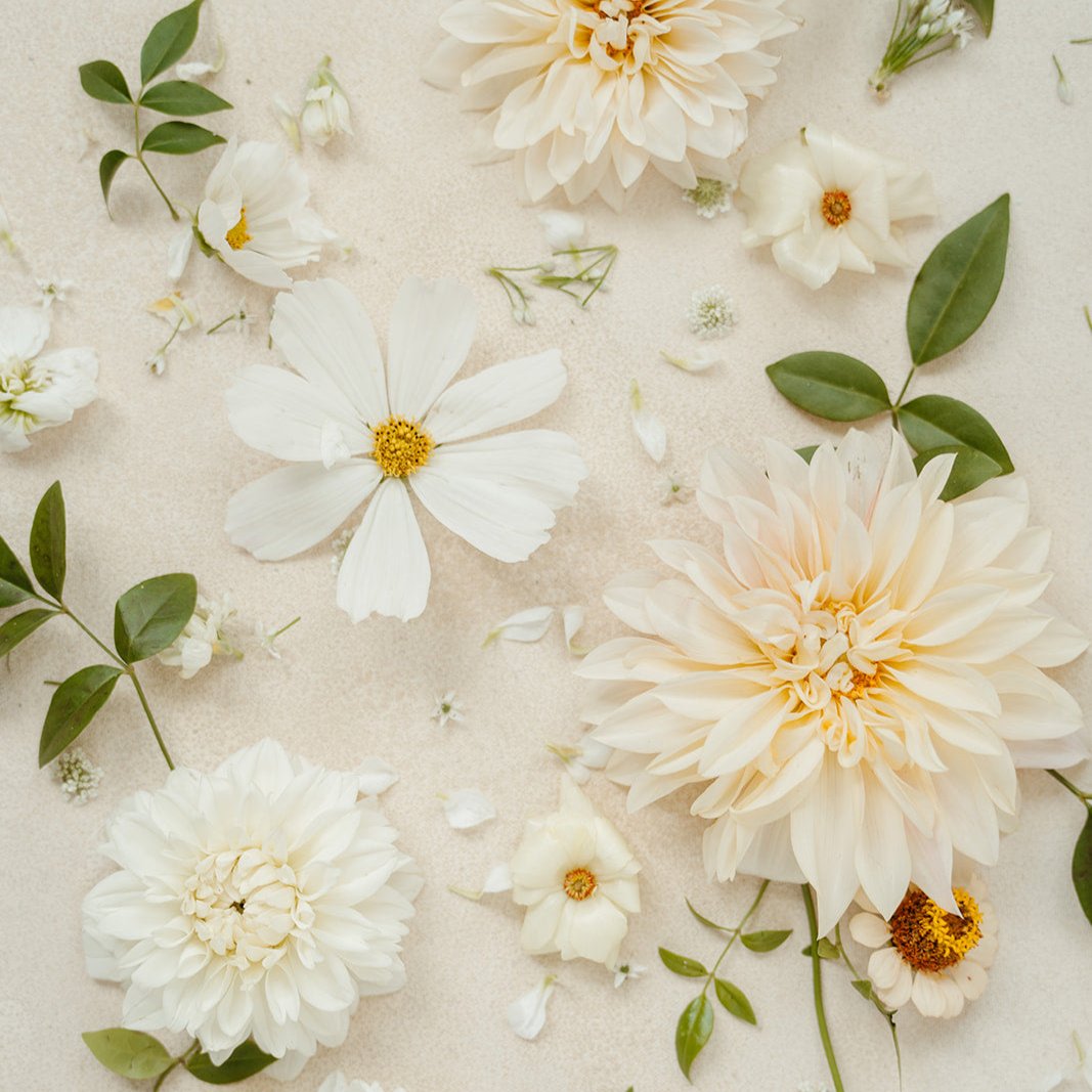 Floral Ground Installation