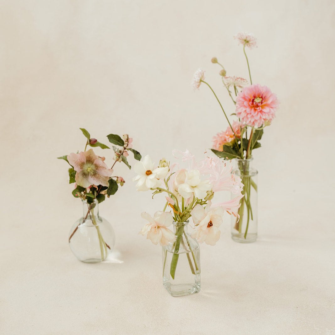 Glass Bud Vases