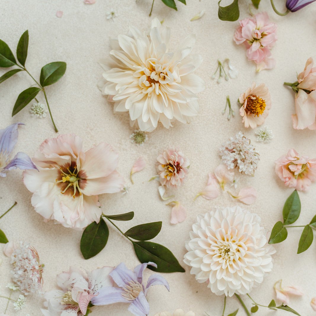 Floral Ground Installation