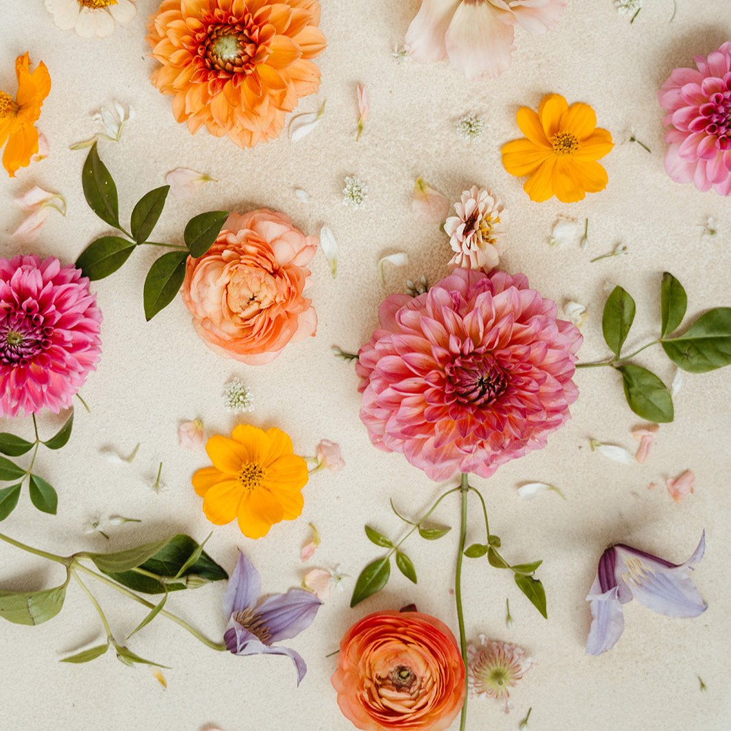 Floral Ground Installation