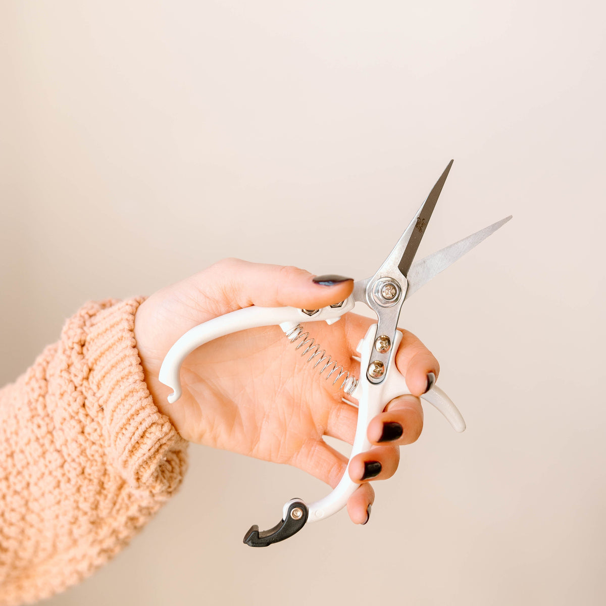 Pruning Shears