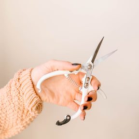 Pruning Shears