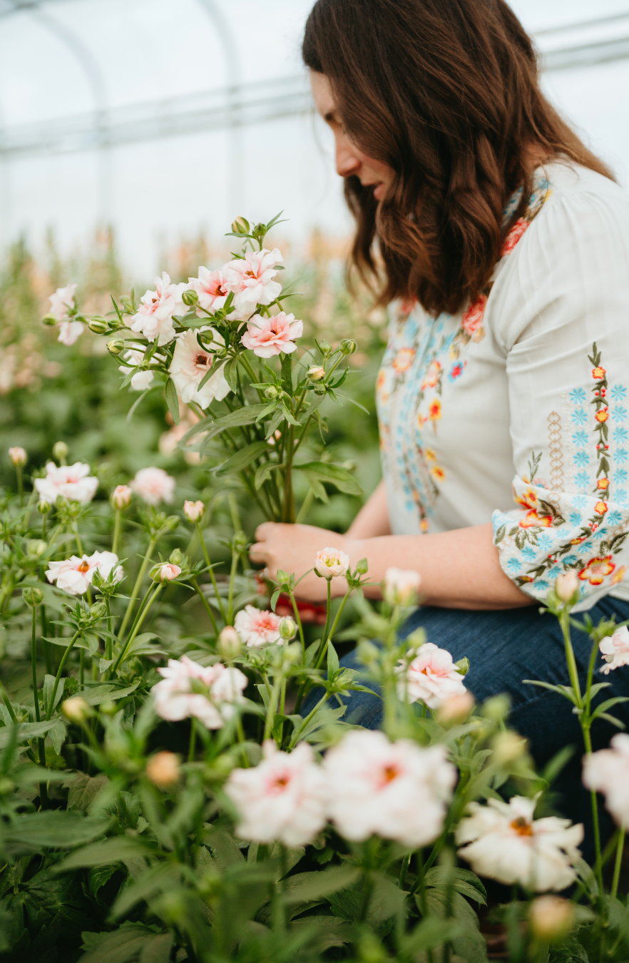 Anthousai Flower Club Subscription