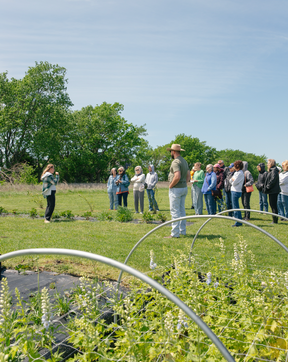 Flower Farm Tour & Flower Arranging Workshop at Sunshine and Stems Farm- July 11th